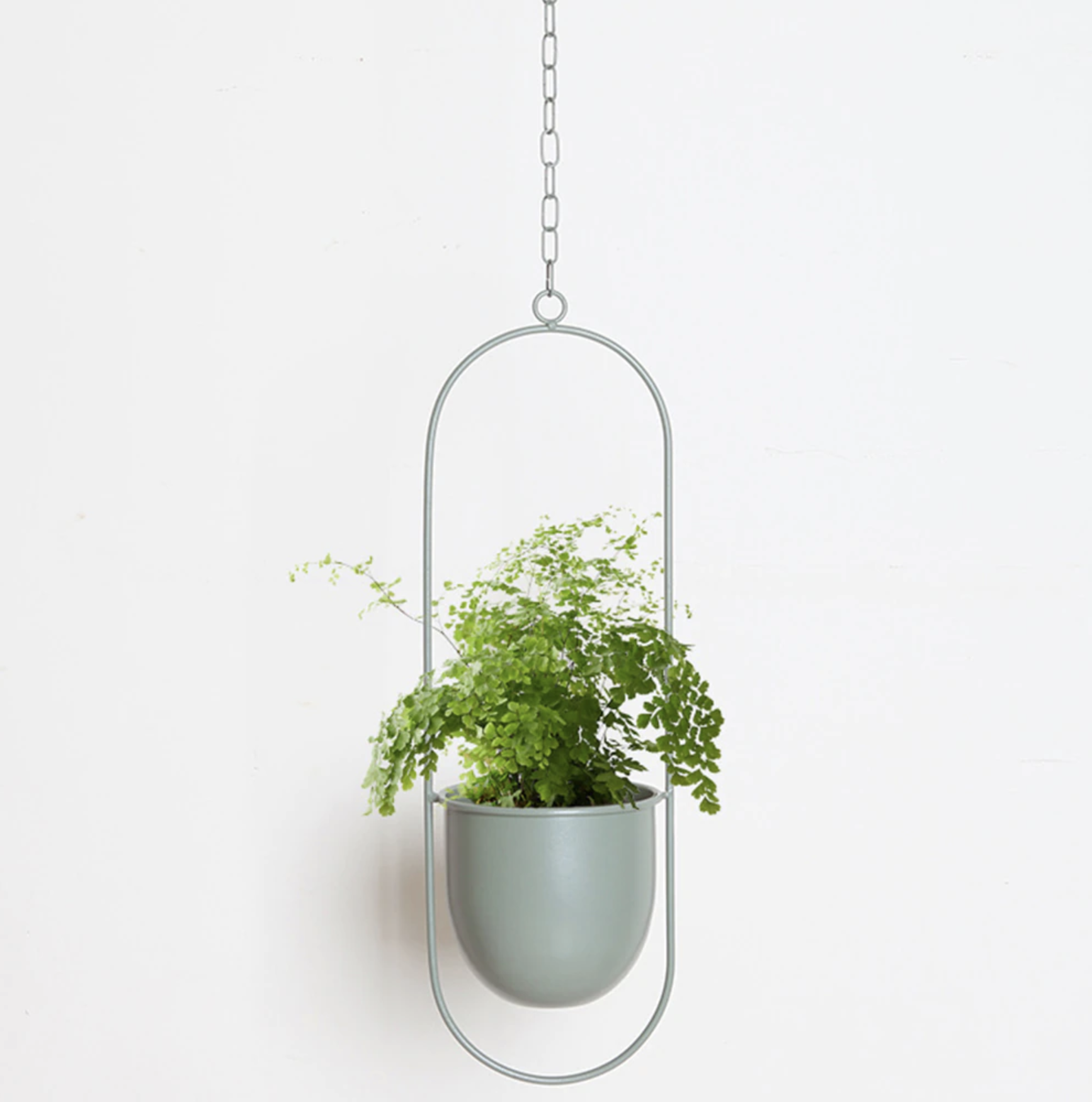 Hængende plante i grå potte med grønne blade, moderne indretning, minimalistisk design, indendørs planteophæng, stilfuld dekoration.