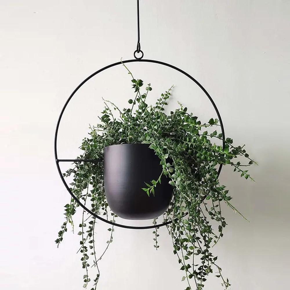Hængende sort metalplanteholder med grønne vedbendplanter, minimalistisk design, indendørs dekoration, moderne boligindretning, vægophæng.