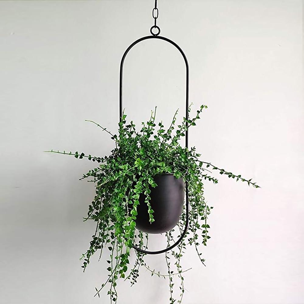 Hængende sort metalplanteholder med grønne vedbendplanter mod hvid baggrund. Moderne indretning, indendørs planteophæng, minimalistisk design.