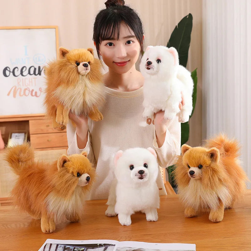 Kvinde med fire realistiske Pomeranian hunde bamser på et bord, indendørs. Bløde legetøj, Pomeranian bamser, indretning, gaveidé.