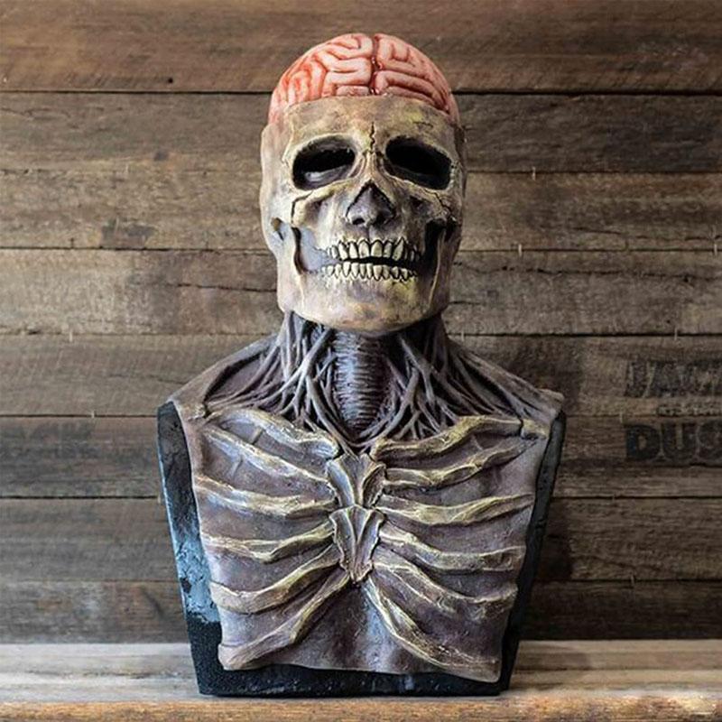 Buste anatomique réaliste de squelette avec cerveau exposé, détails osseux et musculaires, sur fond en bois. Accessoire éducatif et décoratif.