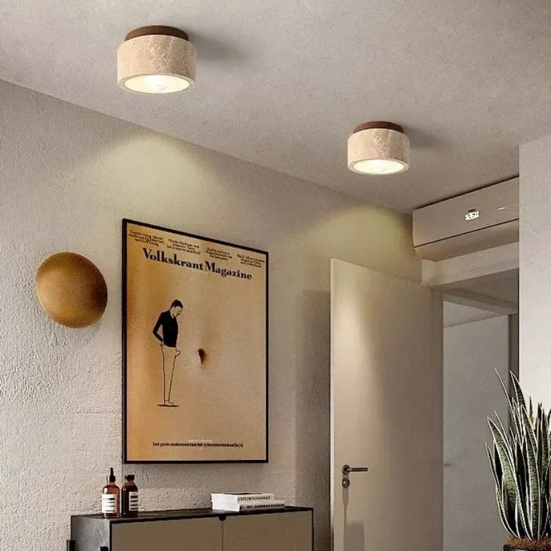 Moderne stue med to loftslamper, minimalistisk kunstplakat, åben dør og grøn plante. Stilfuld indretning, skandinavisk design, belysning.